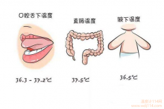 紅外線溫度計測哪最準？
